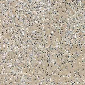 WOW! - Embossing Glitter - Metallic Platinum Sparkle - WS26