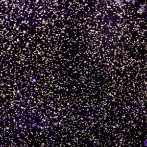WOW! - Embossing Glitter - Nebula Stardust *Mama Makes* - WS376