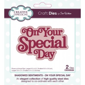 Creative Expressions - Sue Wilson Shadowed Sentiments On Your Special Day Craft Die - CEDSS026