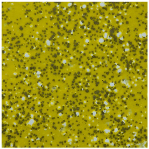 WOW! - Embossing Powder - Poppin Yellow*Ashlee McGregor* - WL71X