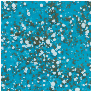 WOW! - Embossing Powder - Poppin Blue*Ashlee McGregor* - WL72X