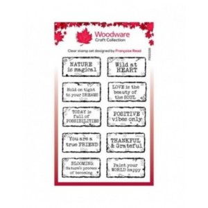 Woodware - Distressed Labels 4 in x 6 in Stamp Set - FRS1026