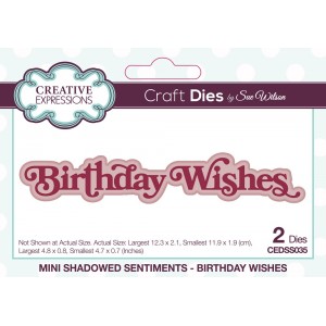 Creative Expressions - Sue Wilson Mini Shadowed Sentiments Birthday Wishes Craft Die - CEDSS035