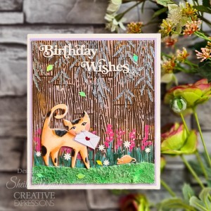 Creative Expressions - Sue Wilson Mini Shadowed Sentiments Birthday Wishes Craft Die - CEDSS035
