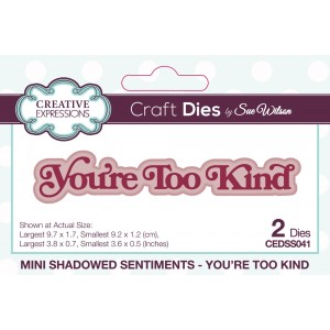 Creative Expressions - Sue Wilson Mini Shadowed Sentiments You're Too Kind Craft Die - CEDSS041