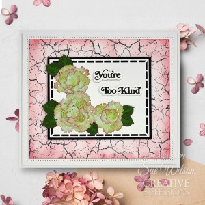 Creative Expressions - Sue Wilson Mini Shadowed Sentiments You're Too Kind Craft Die - CEDSS041
