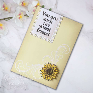 Creative Expressions - Sue Wilson Sending Sunshine 6 in x 8 in Clear Stamp Set - CEC1071