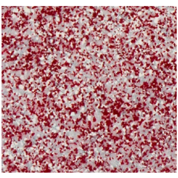WOW! - Embossing Powder - Azalea *Sara Naumann* - WL49