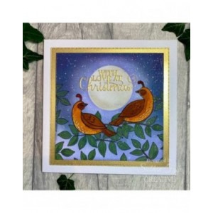 Creative Expressions - Jane's Doodles Partridge 4 in x 6 in Clear Stamp Set - CEC1118