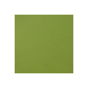 A4 Foundation Card - Single Sheet - 220 gsm Lime