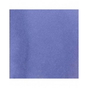 Cosmic Shimmer - Sam Poole Botanical Stains Blackberry 60ml - CSBOTBLACK