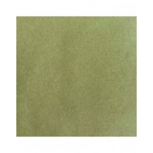 Cosmic Shimmer - Sam Poole Botanical Stains Carrot Top Green 60ml - CSBOTCARROT