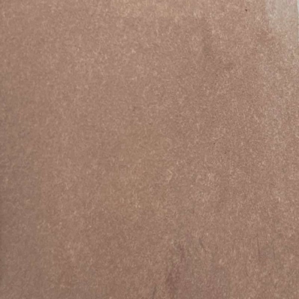Cosmic Shimmer - Sam Poole Botanical Stains Coffee Beans 60ml - CSBOTCOFFEE