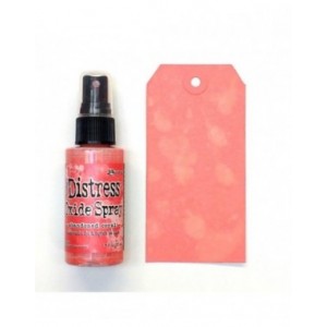 Ranger Tim Holtz - Distress Oxide Spray Abandoned Coral - TSO67528