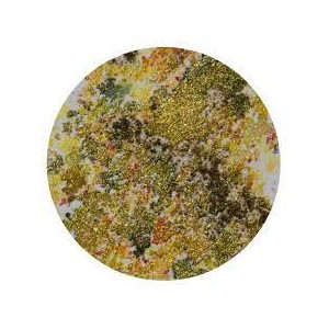 Nuvo - Shimmer Powder - Golden Sparkler - 1218n