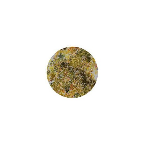 Nuvo - Shimmer Powder - Golden Sparkler - 1218n