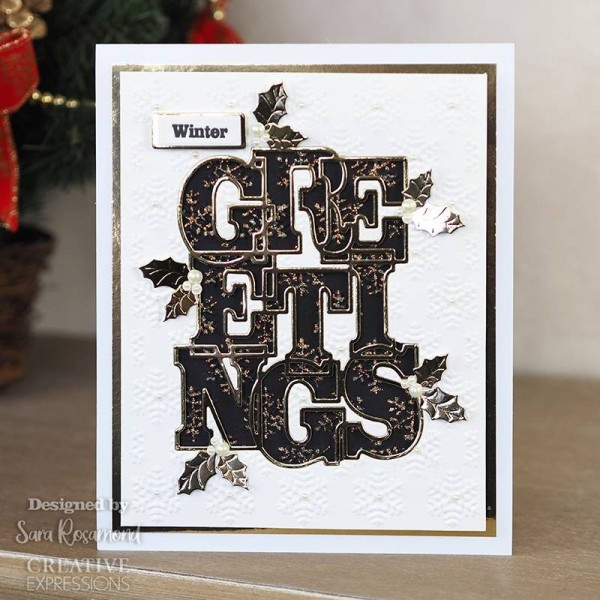 Creative Expressions - Bold Snowflakes 5 3/4 in x 7 1/2 in 3D Embossing Folder - EF3D-052