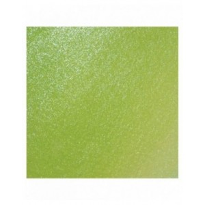 Cosmic Shimmer - Pearlescent Watercolour Ink Lime Sherbet 20ml - CSPWILIME