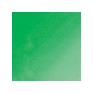 Cosmic Shimmer - Watercolour Ink Fresh Meadow 20ml - CSWIFRESH