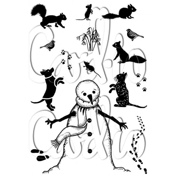 Card-io - Favoured Friends - CCSTFAV-01