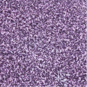WOW! - Embossing Powder -Nevada Pink - WS340R