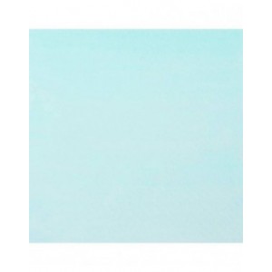 Cosmic Shimmer - Sam Poole Botanical Stains Woad Blue 60ml - CSBOTWOAD