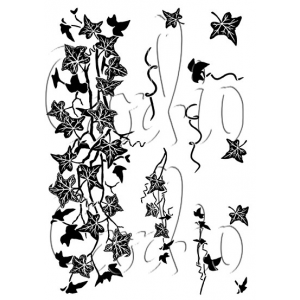 Card-io - Ivy Trails A7 Clear Stamp Set - CCSTIVY-01