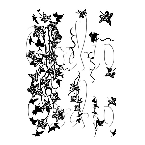 Card-io - Ivy Trails A7 Clear Stamp Set - CCSTIVY-01
