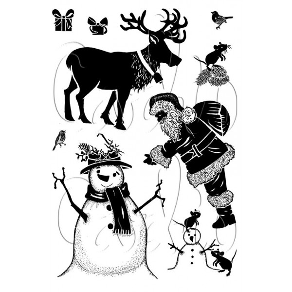 Card-io - Surprise Visit Clear Stamp Set - CCSTSUR-01