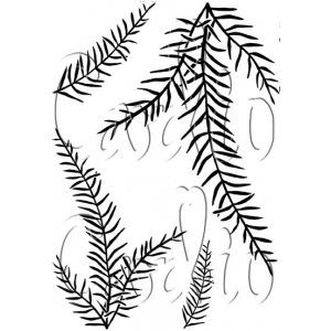 Card-io - Christmas Branches Clear Stamp Set - CCSTCHR-08